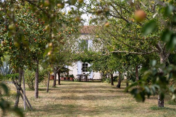 CHARMANTE MAISON DE CARACTERE SUR LA PRESQU'ILE D'ARVERT