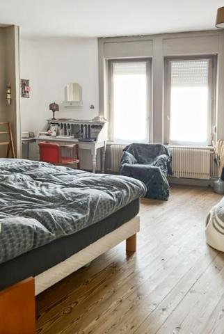 Maison Lille 7 pièce(s) 170 m2, Jardin, grenier, cave