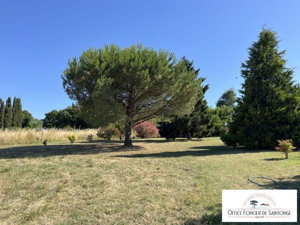 Propriété comprenant une maison principale d'habitation et 3 gites indépendants