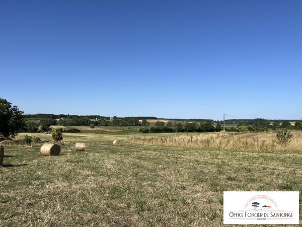 Propriété comprenant une maison principale d'habitation et 3 gites indépendants