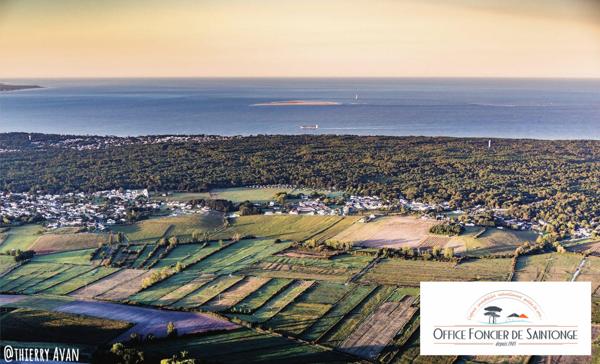 Propriété comprenant une maison principale d'habitation et 3 gites indépendants