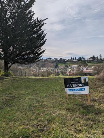 Terrain de 3 920 m²