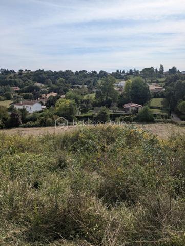 Terrain de 3 920 m²