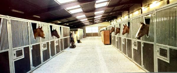 Propriété équestre Reims sur 4 hectares de terrains