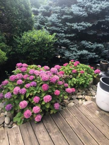 Maison à vendre 5 pièces de 168 m²