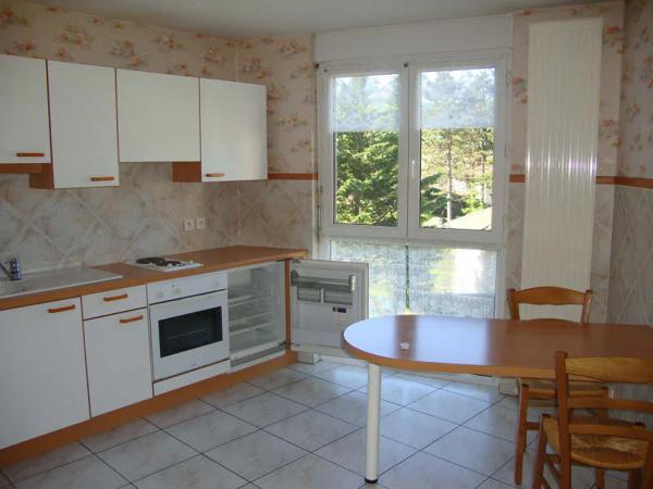 Appartement à louer à Oyonnax (01100)