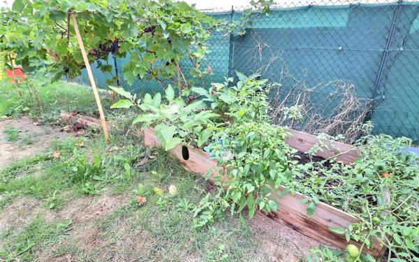 Appartement à vendre    3 pièces • 69,20 m2 Le Mée-sur-Seine