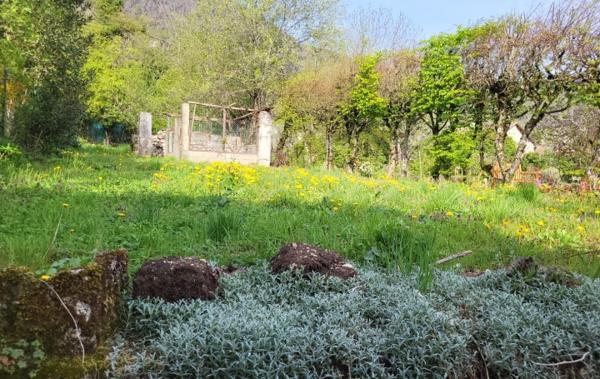 Vente Grange a restaurer à rénover Collonges   