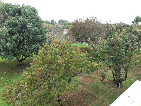 Maison T4 de 96 m² avec garage et grand terrain – Saint-Germain-de-Lusignan