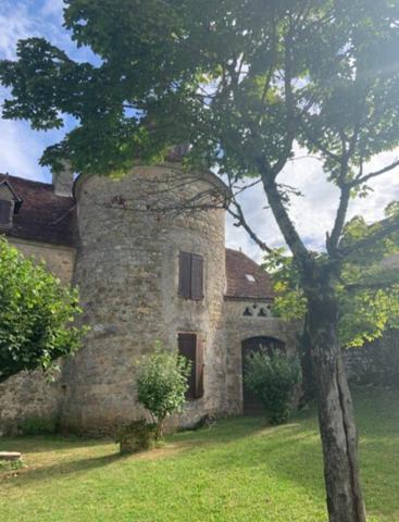 CHATEAU AVEC VASTE PARC