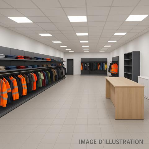 Locataire en place - Bail 3 6 9 - Carcassonne La Bouriette - Local pro 300 m² loué