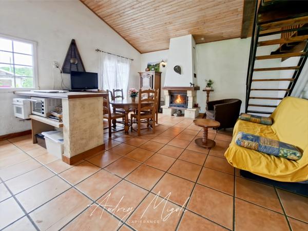 Propriété en pierre avec maison, gîte, 245m², 7 chambres, piscine, 300m² de dépendances, parc de 2,5 hectares