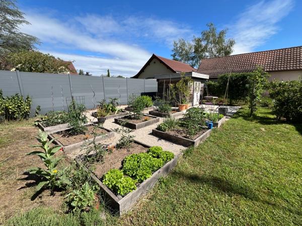 Maison à vendre 7 pièces SASSENAY (71) avec piscine, sur terrain de 1483m²