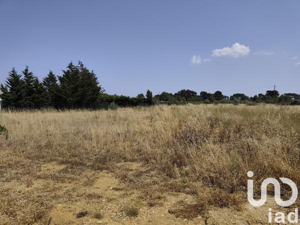 Terrain à vendre 613 m² Roubia