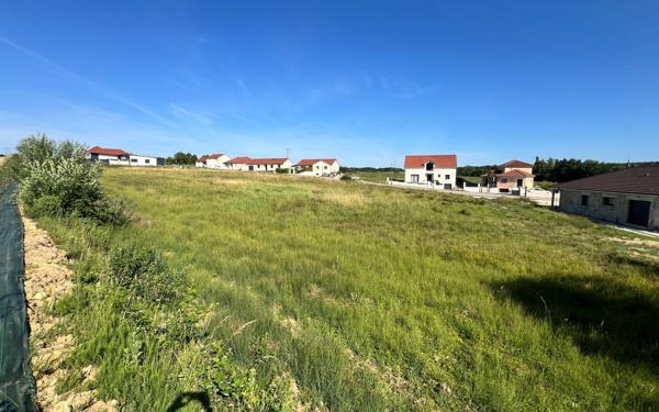 Terrain à vendre    Baudonvilliers