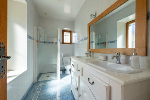 Étampes (91150) Rez-de-jardin de caractère ouvert sur 800 m² de jardin, au calme et à 30 min de Paris