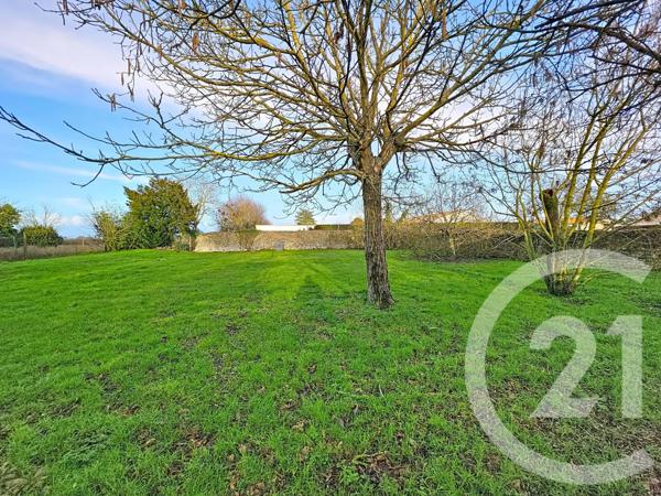 Maison à vendre  5 pièces - 98,35 m2 MOREILLES - 85