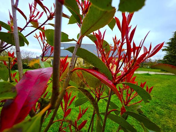 En campagne Baugeoise ! Contemporaine de 2004; 6 chambres , terrain arboré !