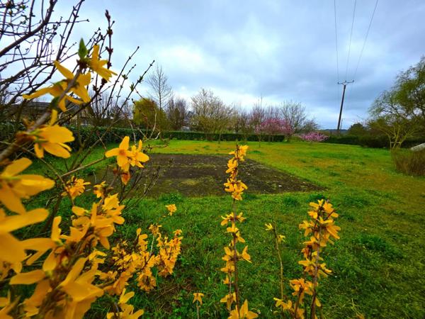 En campagne Baugeoise ! Contemporaine de 2004; 6 chambres , terrain arboré !