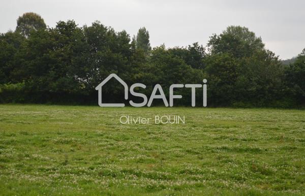 Terrain constructible