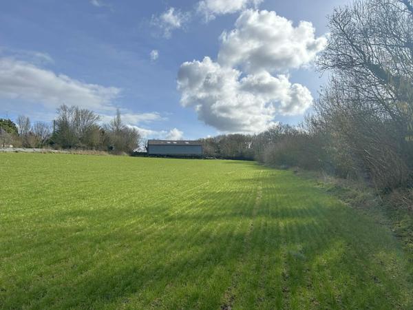 Le Folgoët (29260) Jolie Néo-bretonne avec hangar