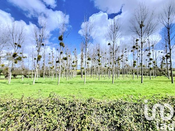 Maison de village 6 pièces de 200 m² à Chantonnay (85110)