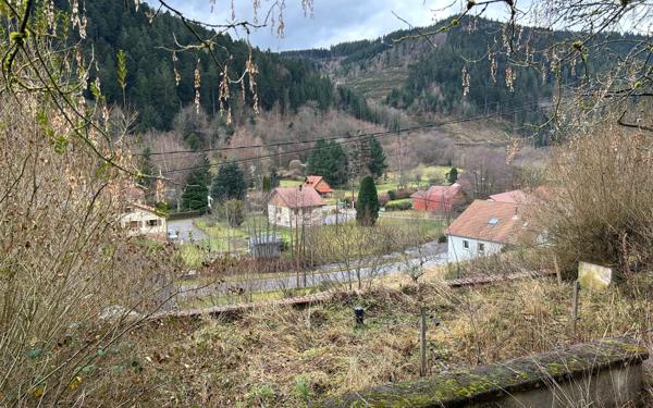 Maison à vendre    2 pièces •  Plainfaing