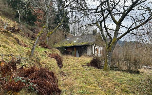 Maison à vendre    2 pièces •  Plainfaing