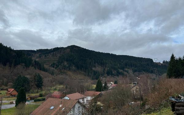 Maison à vendre    2 pièces •  Plainfaing