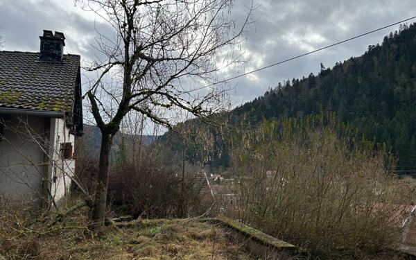 Maison à vendre    2 pièces •  Plainfaing