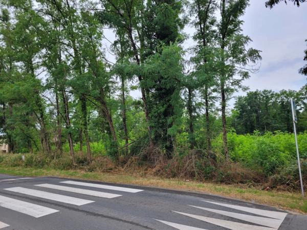 Terrain 1200 m² 10 mn de Libourne