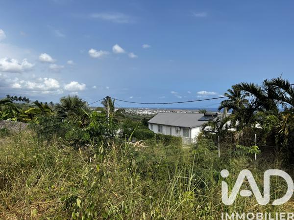 Terrain à vendre 600 m² L'Étang-Salé