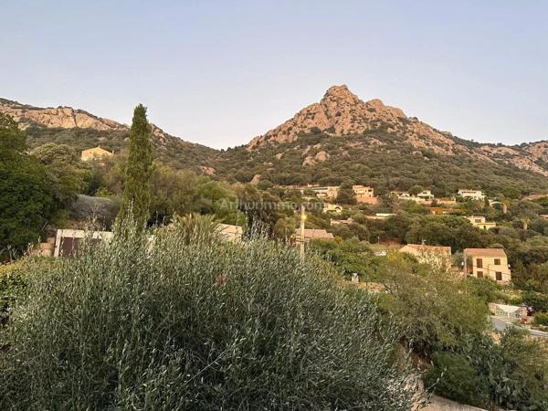 Vente                                                      Appartement
                        
                     2 pièces                      28 m2                     à Lumio