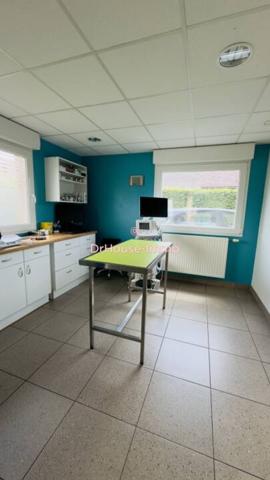 Bien immobilier à vendre de 313 m²