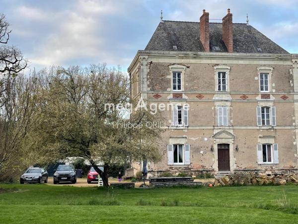 Maison à SAINTE-GEMMES-D'ANDIGNE, 49500 - 22 pièces 357m²