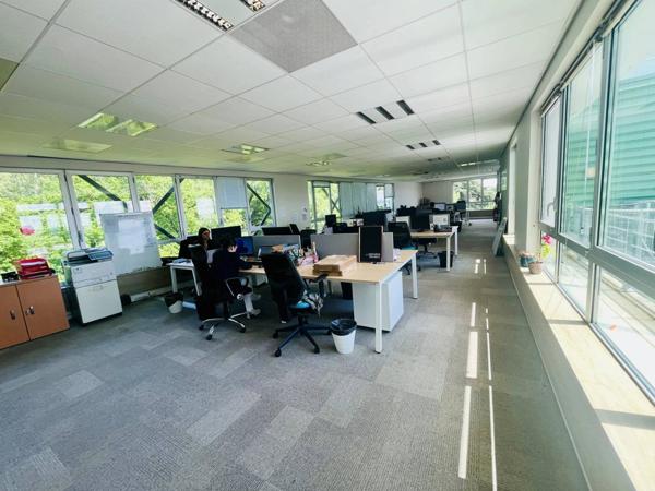 BUREAUX À LOUER – 200 m² – TOULOUSE GRAMONT