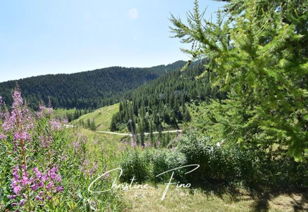 SERRE CHEVALIER - CHALET D'ALPAGE AU COEUR DU DOMAINE SKIABLE