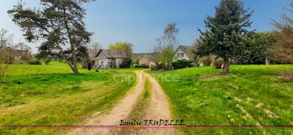 Maison à vendre 5 pièces RUILLE SUR LOIR (72) 3/5 chambres - 3205m² de terrain