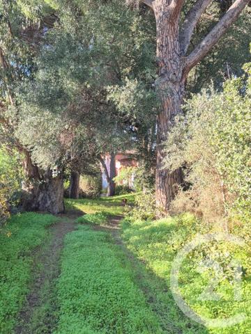 Maison à vendre  6 pièces - 150 m2 CAVALAIRE SUR MER - 83