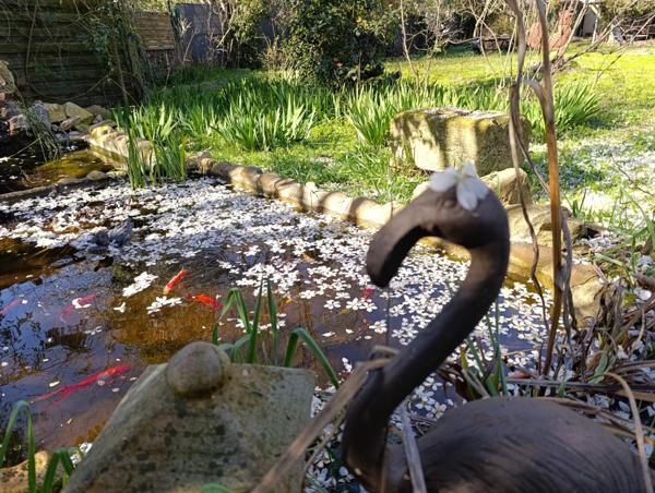 Maison 15 pièces - 342 m²