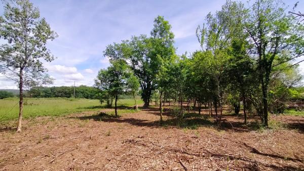 Beau terrain constructible avec vue sur la campagne