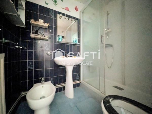 SPECIAL INVESTISSEUR OU AMATEUR DE RENOVATION
