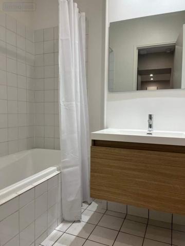 Appartement à louer à Sézanne dans la Marne (51120), ref : 043/1177