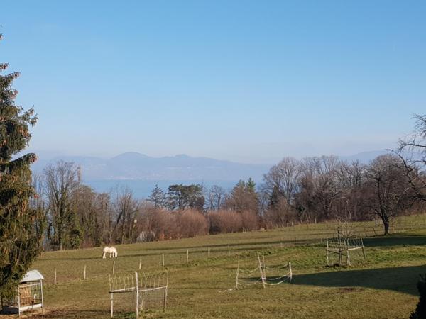 Maison à Lugrin, 74500 - 6 pièces 190m²