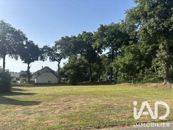 Terrain à vendre 636 m² Merlevenez