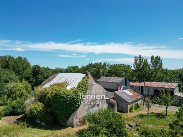 Maison à rénover avec dépendances et vaste terrain Chalonnes-sur-Loire (49290)