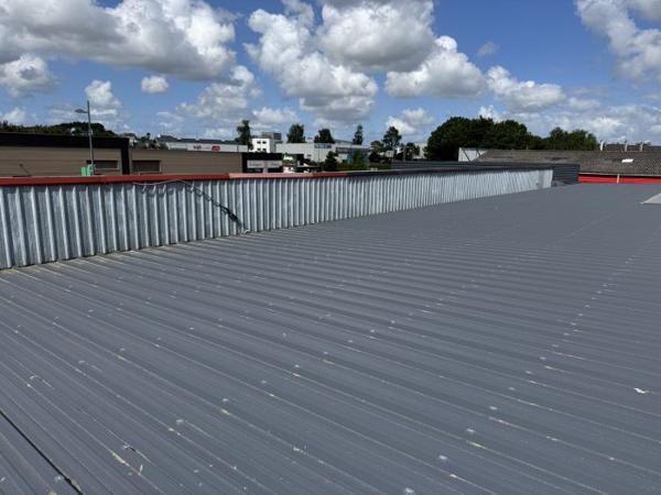 Local commercial Saint-Martin-des-Champs 241 m²