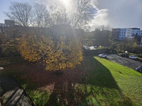 Appartement 4 pièces - 71 m²