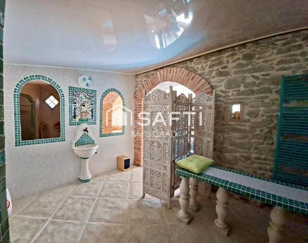 Grand domaine 450m2 restauré avec 3 ha de terrain