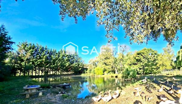 Grand domaine 450m2 restauré avec 3 ha de terrain